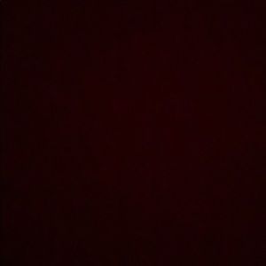 Meet your Posher, Tia